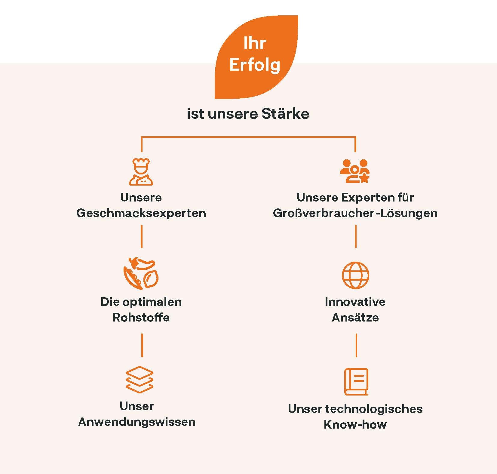 NovaTaste stärkt den Erfolg von Großverbrauchern durch Geschmacksexperten, optimale Rohstoffe, Anwendungswissen, innovative Ansätze und technologisches Know-how.